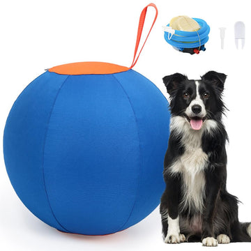 Dog Toys