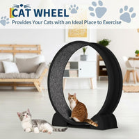 Garvee Katzenlaufrad XL 103 cm, Leises Katzenlaufband aus ABS bis 12 kg, mit Schrittzähler, Feststellfunktion und Laufmatte