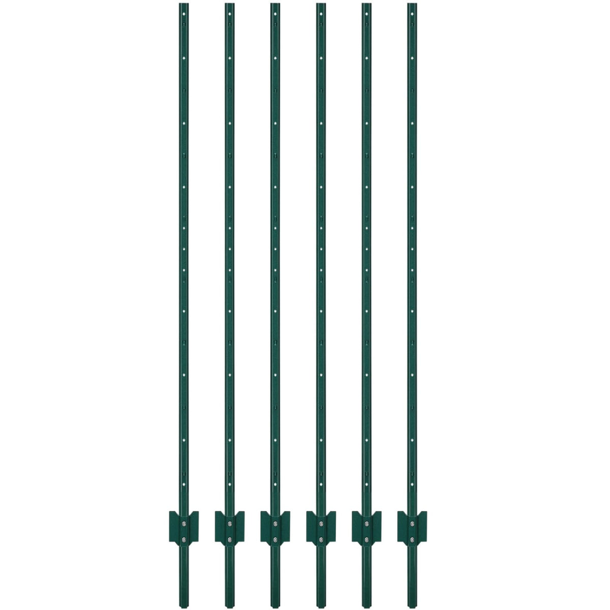 PPG_336A9TFW