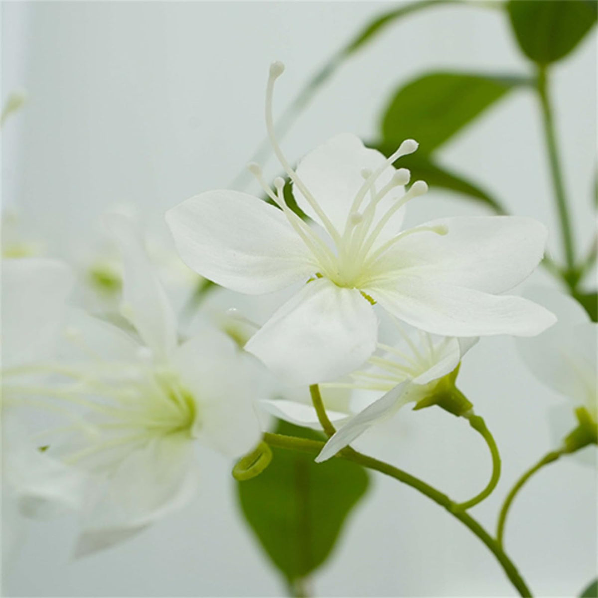 FQZOL_4RJ68WHT