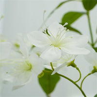 FQZOL_4RJ68WHT