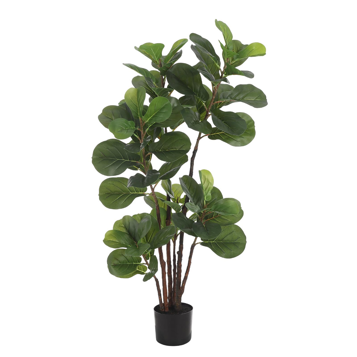 PHO_10PYGSFO