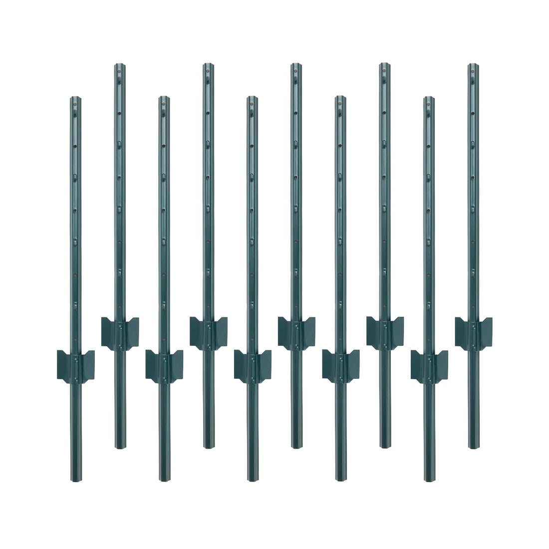 PPG_33LDBVSP