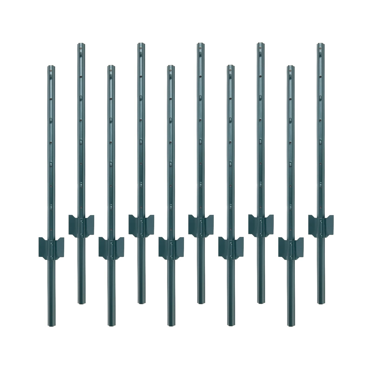 PPG_33LDBVSP