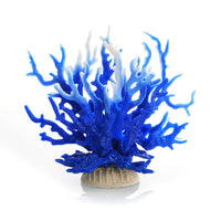 FQZPE_8TB5FQDM