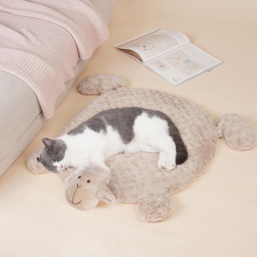 FQZPE_9PK3XJ16