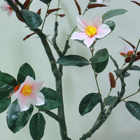PHK_354AX5Y6