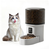 GARVEE Futterautomat Katze 4L, Automatischer Futterspender für Katzen & kleine Hunde, mit Timer, bis zu 6 Mahlzeiten täglich, Portionskontrolle, Duale Stromversorgung - Transparent