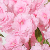 PHK_36RDUPDG