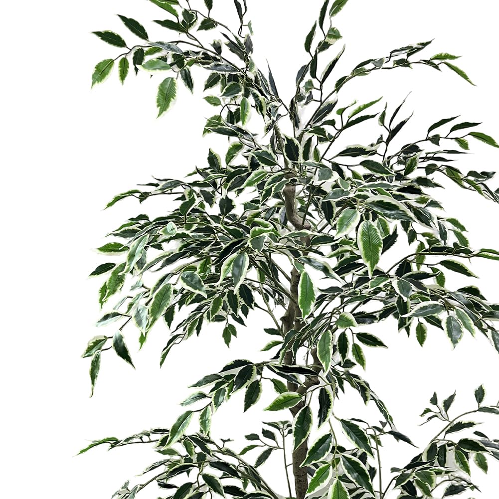 PHK_35F98EDK