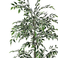 PHK_35F98EDK