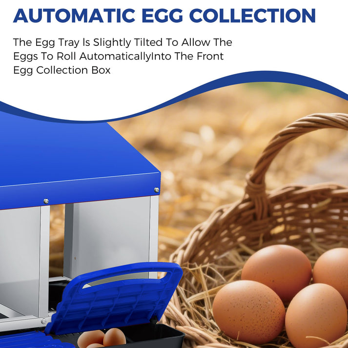 Geneigte Nestfläche mit automatischer Eiersammelbox
