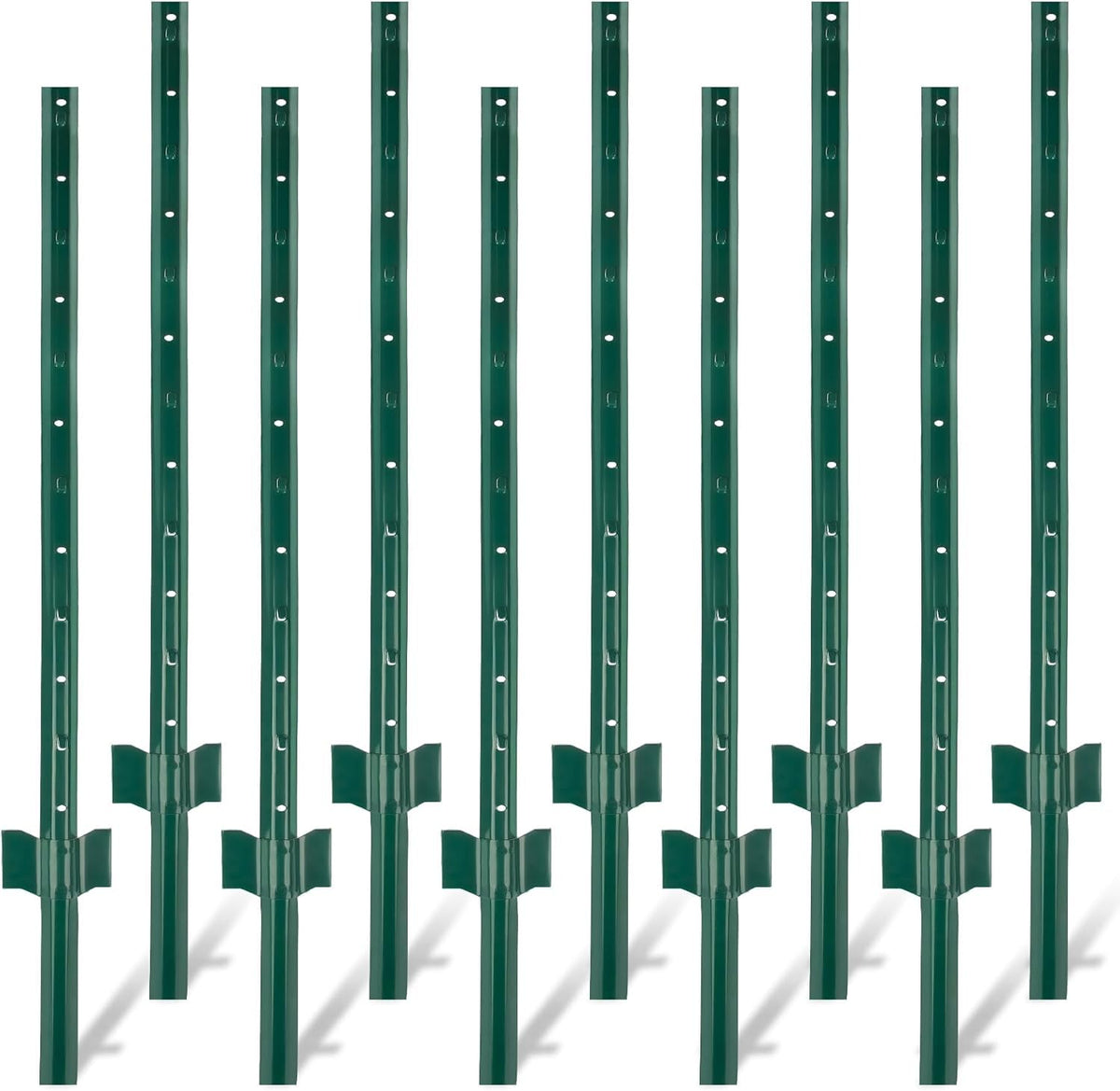 PPG_33LDTYC5