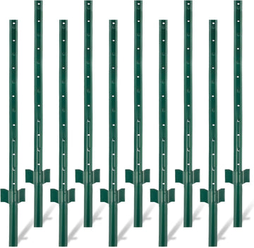 PPG_33LDTYC5
