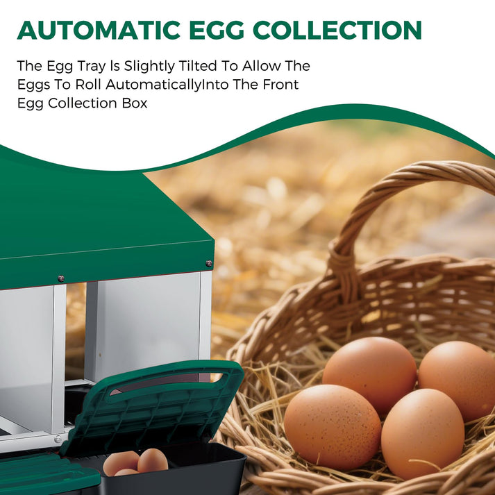 Geneigte Nestfläche mit automatischer Eiersammelbox