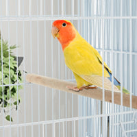 PHO_34BN6EJS