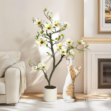 PHK_33YJ3X88