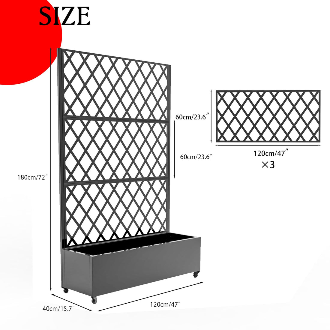 PPG_33CB3BFP
