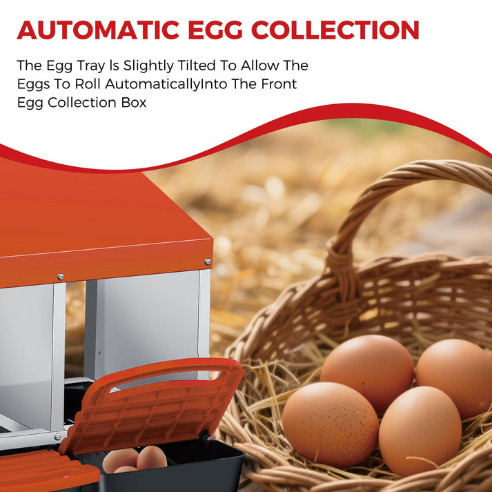 Geneigte Nestfläche mit automatischer Eiersammelbox