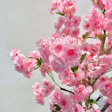 PHK_3658U3LK