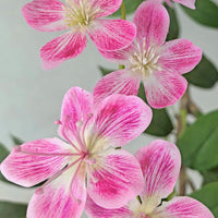 PHK_365AR4UB