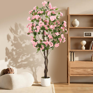 PHK_36CGJWB9