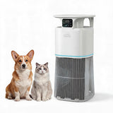 Garvee Leistungsstarker Luftreiniger Für Räume Bis 344 m² Mit 269,3 CFM, Waschbarem PP-Vorfilter, AQI-Display, 23 dB Schlafmodus, App-Steuerung