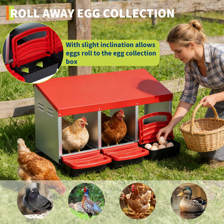 Rollaway-System mit geneigtem Nestboden beim Garvee Legenest
