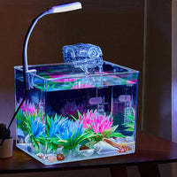 FQZPE_3GLT4D6R