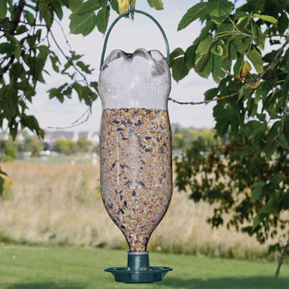 FQZPE_8OKYGH8Y