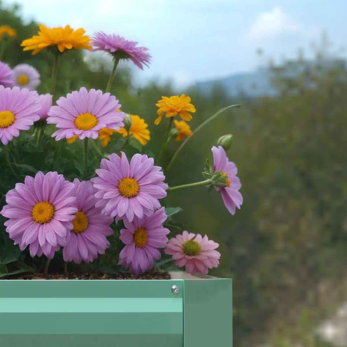 GARVEE Verzinktes Hochbeet 244 × 122 × 61 cm, Metall Pflanzbeet mit Offenem Boden, Rostbeständig und Wetterfest für Gemüse, Kräuter, Blumen und Garten, Grün