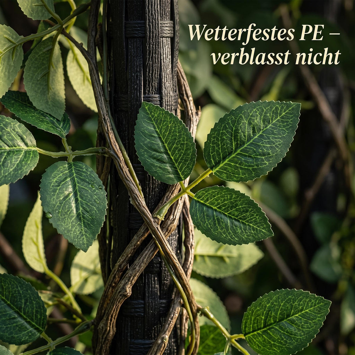 PHK_3BFXU5FJ