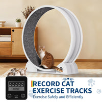 Garvee Katzenlaufrad XL 103 cm, Leises Katzenlaufband aus ABS für Katzen bis 12 kg, mit Schrittzähler und abnehmbarer Laufmatte