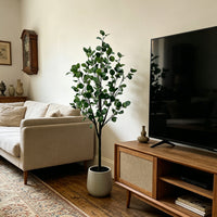 PHK_3957AURH